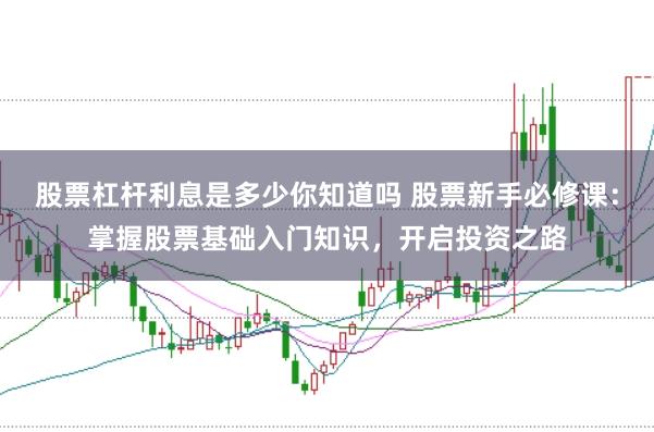 股票杠杆利息是多少你知道吗 股票新手必修课：掌握股票基础入门知识，开启投资之路