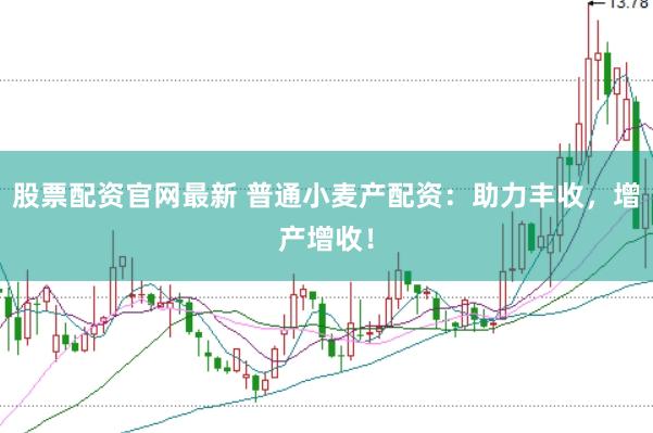 股票配资官网最新 普通小麦产配资：助力丰收，增产增收！