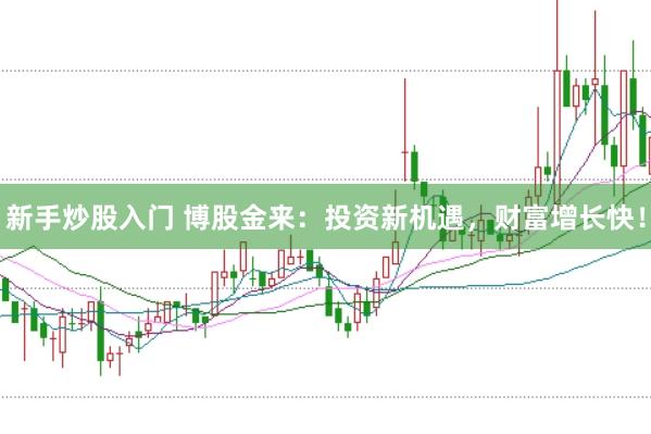 新手炒股入门 博股金来：投资新机遇，财富增长快！