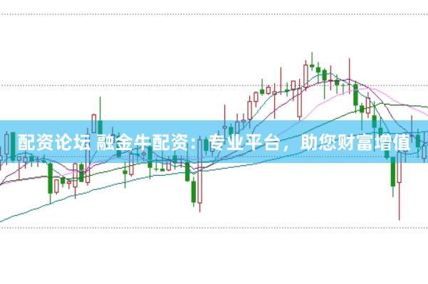 配资论坛 融金牛配资：专业平台，助您财富增值