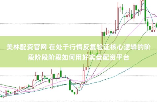 美林配资官网 在处于行情反复验证核心逻辑的阶段阶段阶段如何用好实盘配资平台