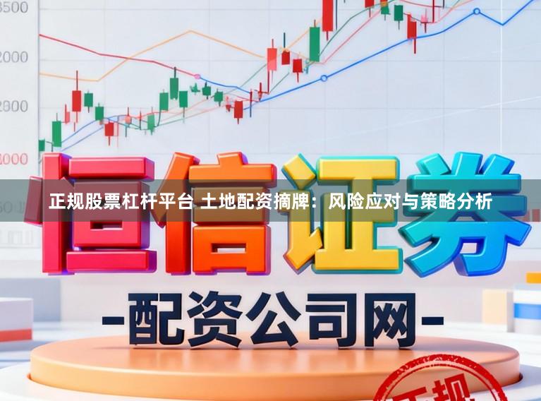 正规股票杠杆平台 土地配资摘牌：风险应对与策略分析